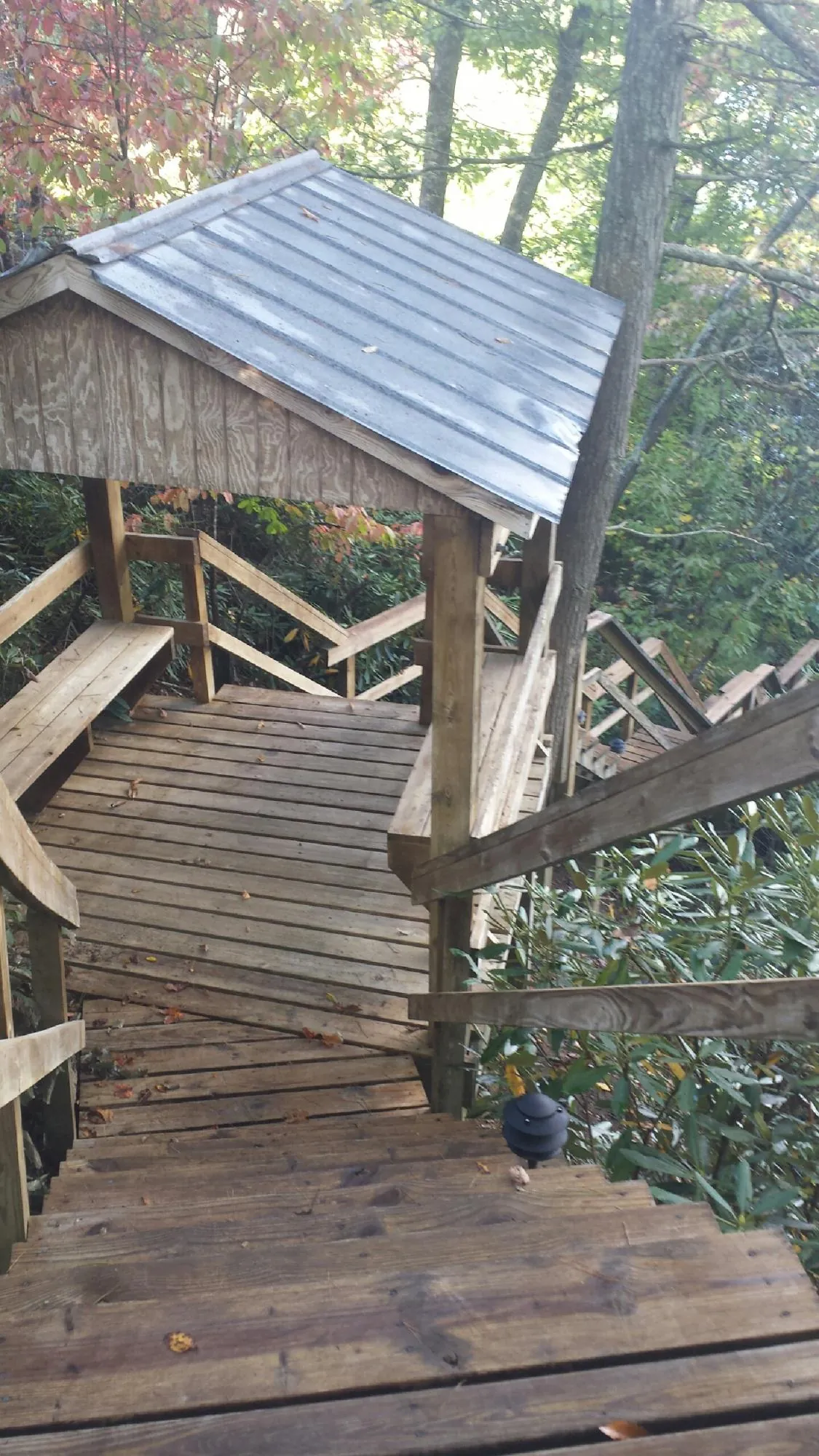 Metal roofed shelter over wooden steps on a wooded walkway — Skylight Repair & Installation work by our crew in Delevan